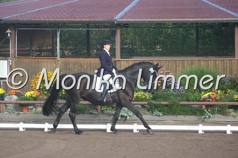 009M1266_Highway N_Dressur M.JPG